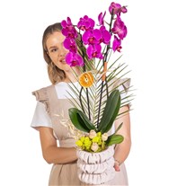 Rustic Fuchsia Seramikte Orkide