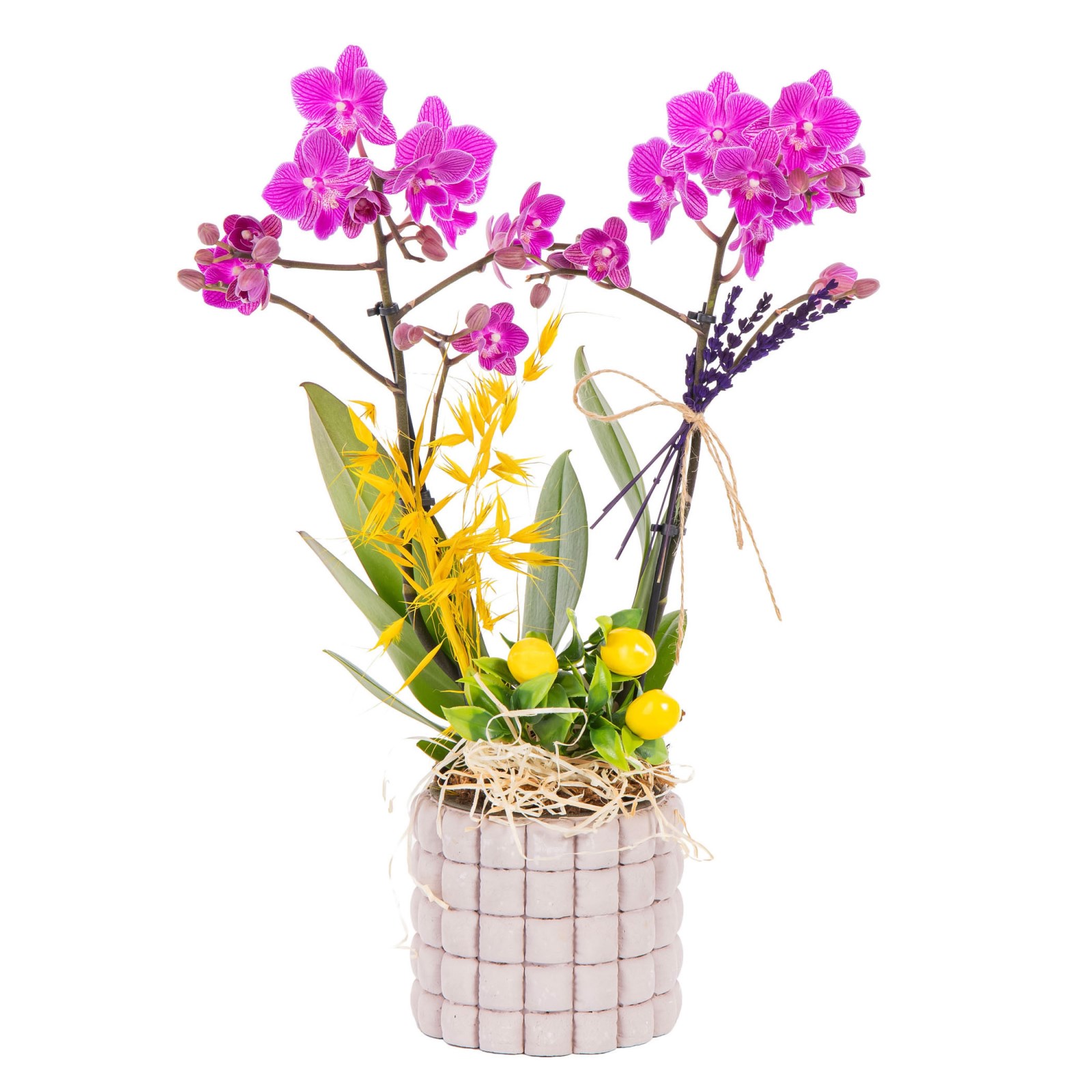 Saffron Mosaic Seramikte Orkide