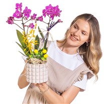 Saffron Mosaic Seramikte Orkide