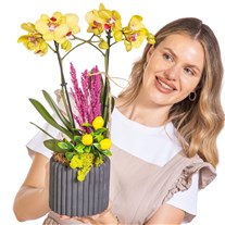 Yellow Charm Seramikte Orkide