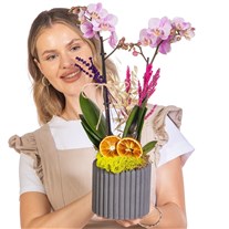 Sweet Lavender Seramikte Orkide