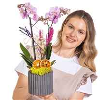 Sweet Lavender Seramikte Orkide