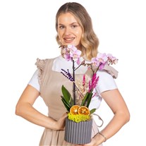 Sweet Lavender Seramikte Orkide