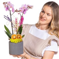 Sweet Lavender Seramikte Orkide