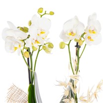 Ivory Touch Seramikte Orkide
