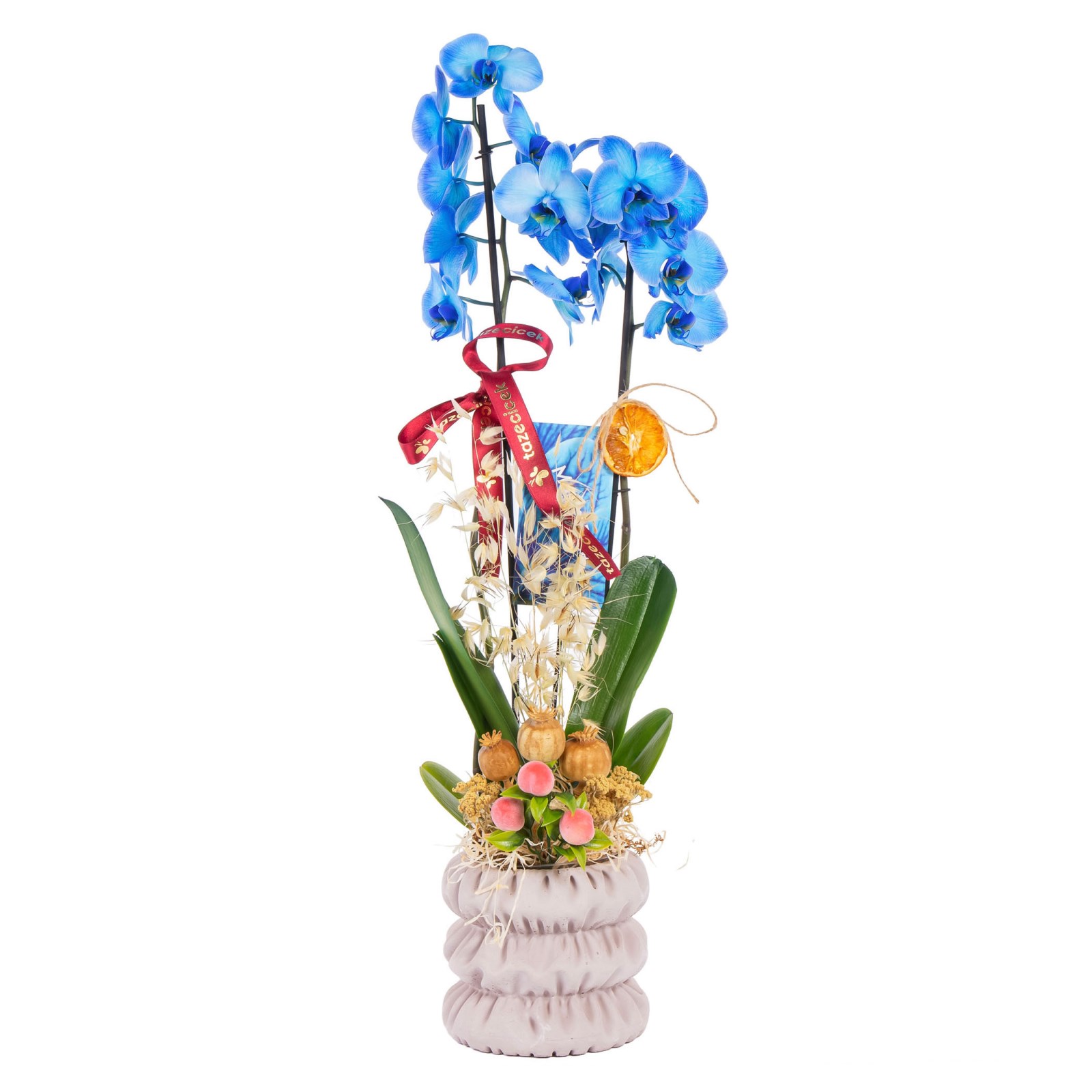 Deep Sapphire Seramikte Orkide
