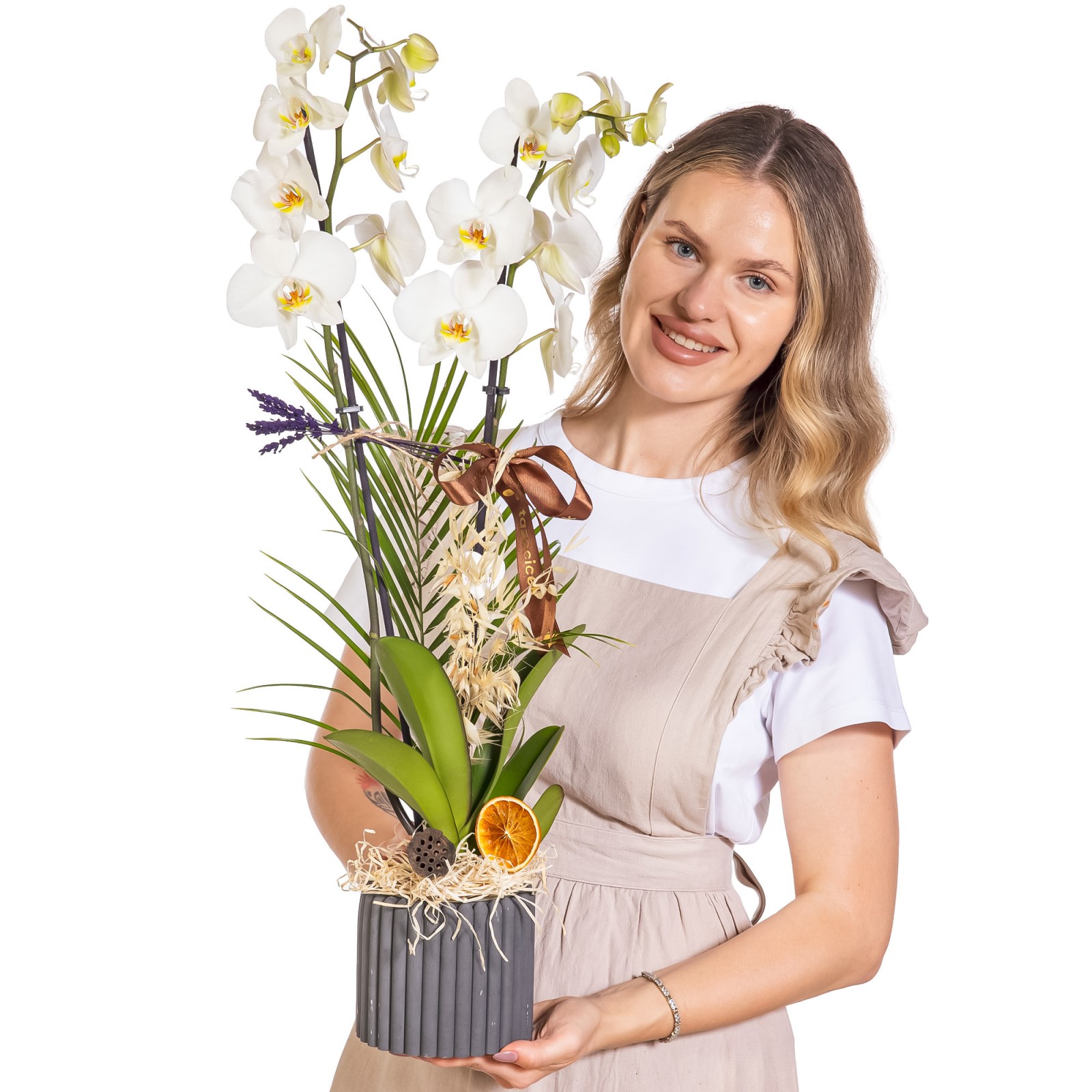 Warm Linen Çift Dal Beyaz Orkide