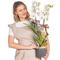 Warm Linen Çift Dal Beyaz Orkide