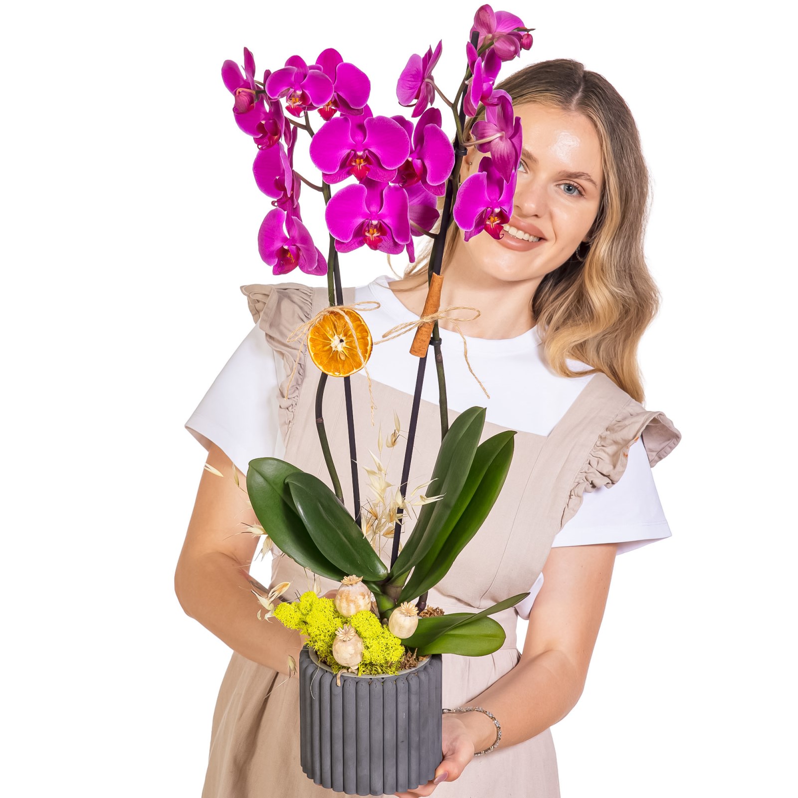 Dark Fuchsia Seramikte Orkide