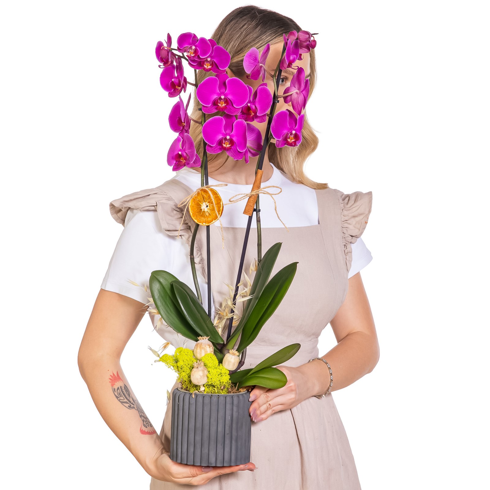 Dark Fuchsia Seramikte Orkide