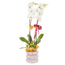 Botanical Pearl Seramikte Orkide
