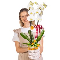 Botanical Pearl Seramikte Orkide