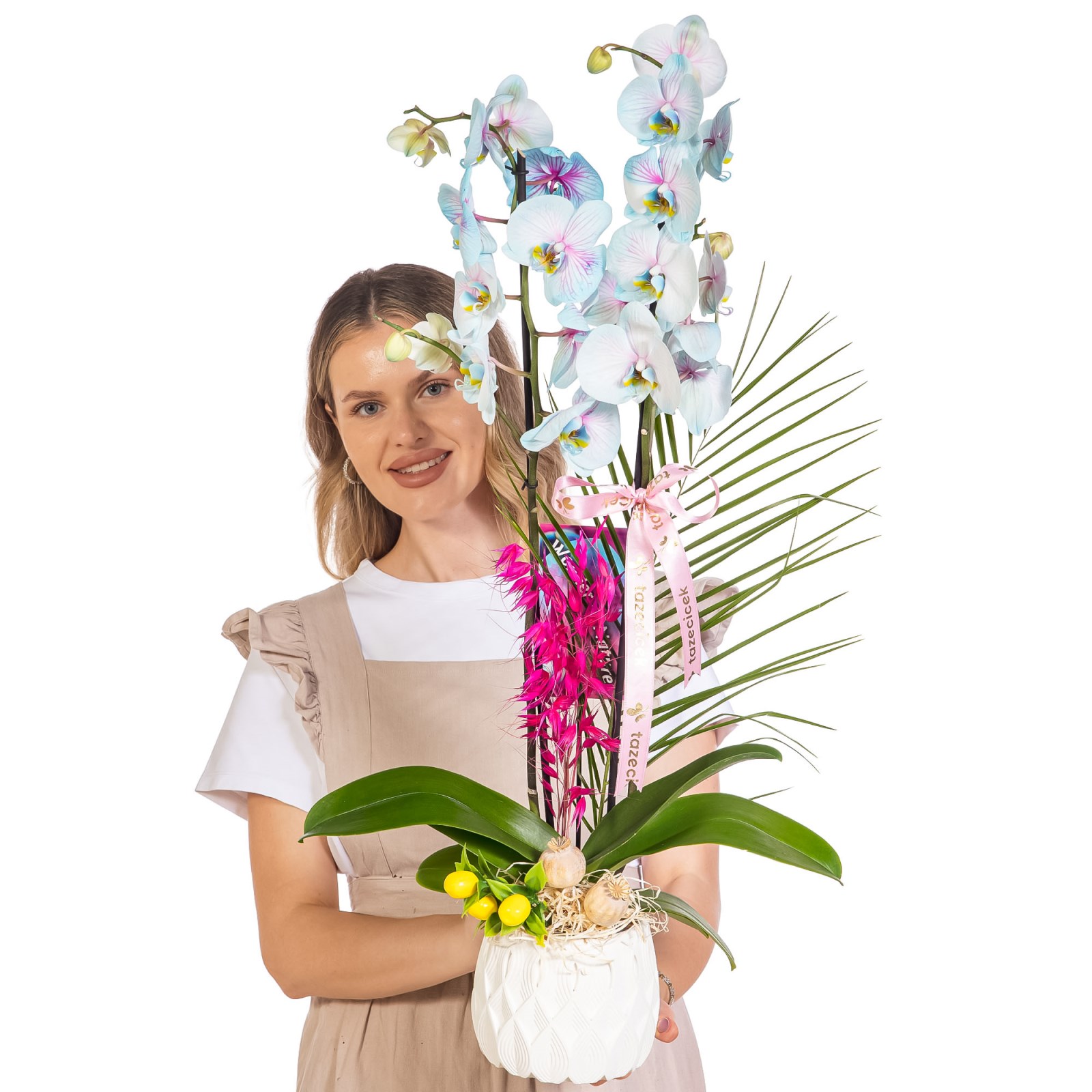 Pastel Azure Çift Dal Orkide