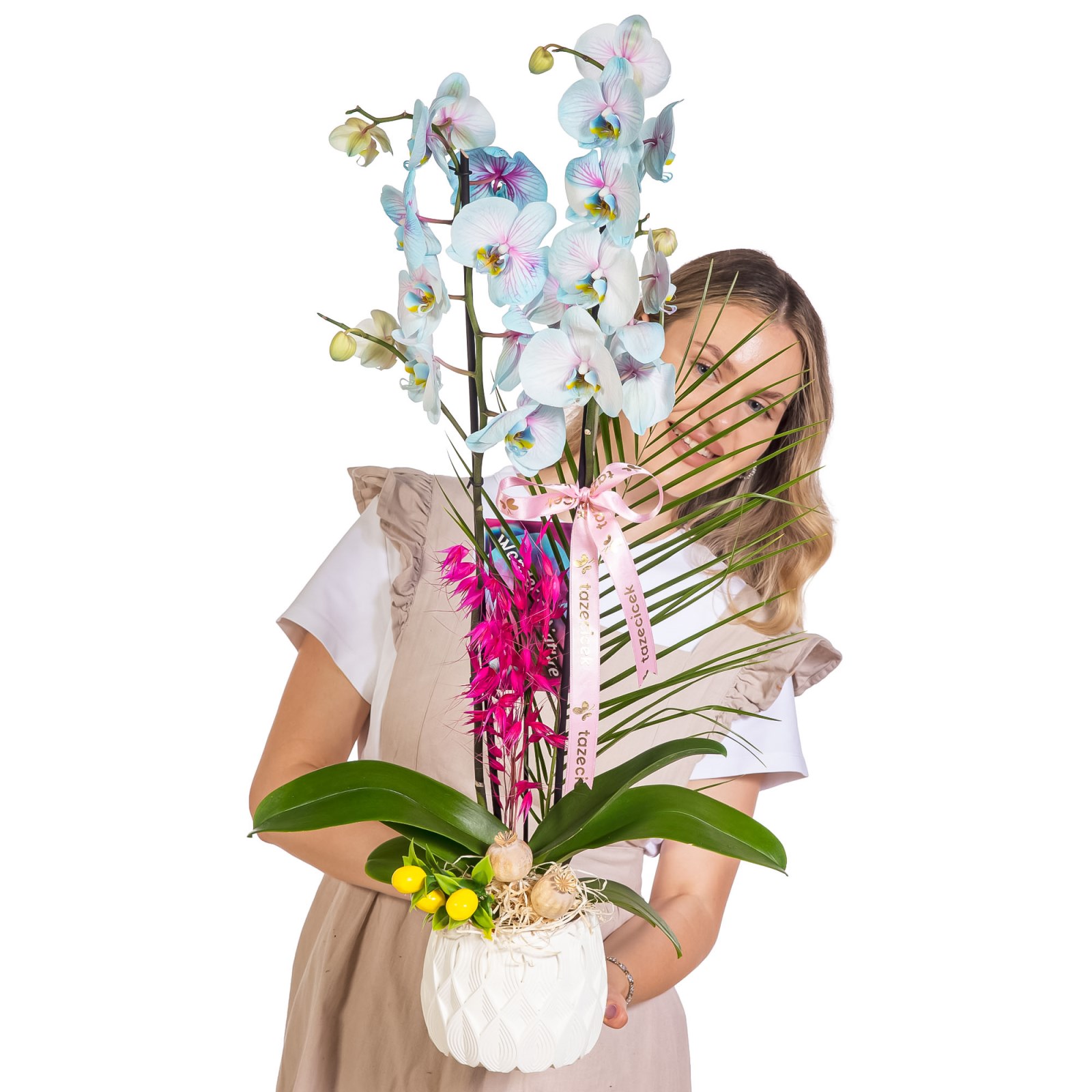 Pastel Azure Çift Dal Orkide
