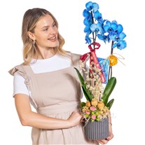 Opal Indigo Seramikte Orkide