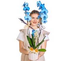 Crystal Blue Seramikte Orkide