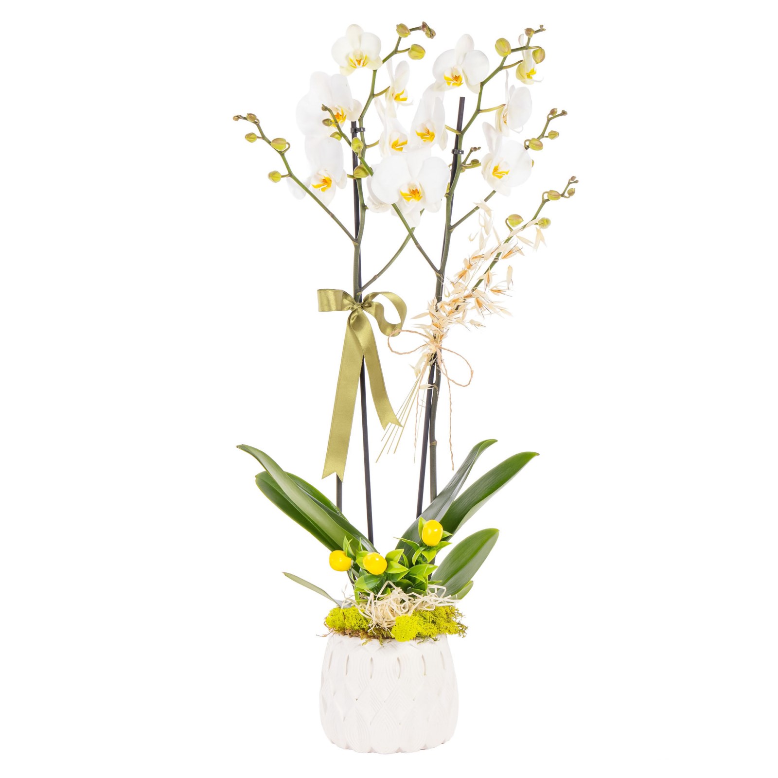 Botanical Ivory Seramikte Orkide