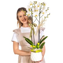 Botanical Ivory Seramikte Orkide