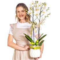Botanical Ivory Seramikte Orkide