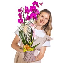 Rosy Forest Seramikte Orkide