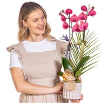 Burlap Berry Çift Dal Orkide