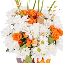 White Fairy Papatyalar