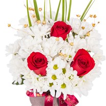 Only Roses Papatyalar
