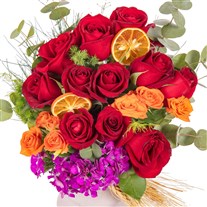 Scarlet Flame Kırmızı Güller