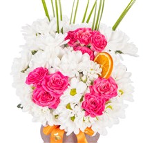 Charming Pink Papatyalar
