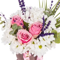 Lavender Rosy Papatyalar