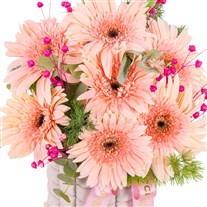 Satin Peach Gerbera Aranjmanı