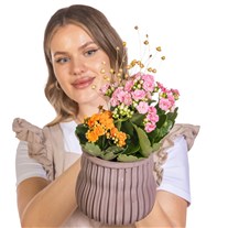 Rustic Garden Kalanşo Aranjmanı