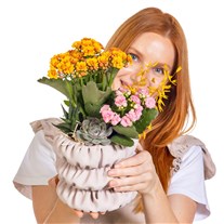 Naturel Bloom Kalanşo Aranjmanı