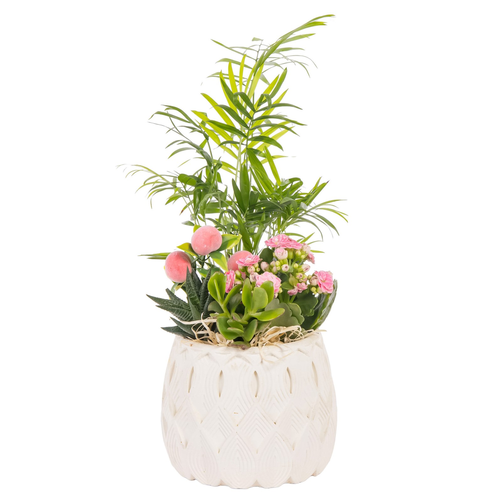 Botanical Charm Sukulent Aranjmanı
