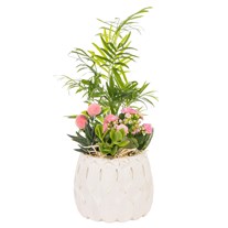 Botanical Charm Sukulent Aranjmanı