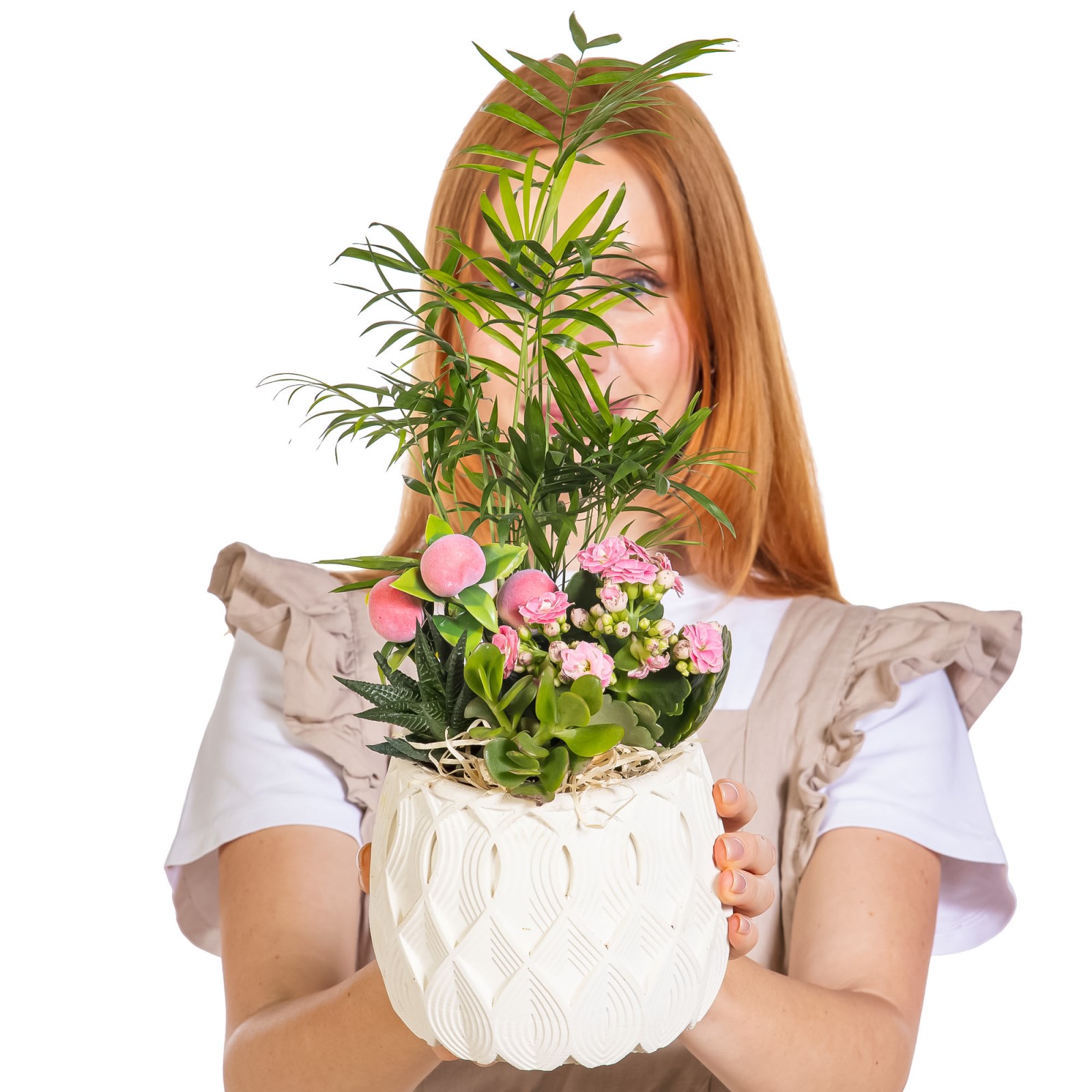 Botanical Charm Sukulent Aranjmanı