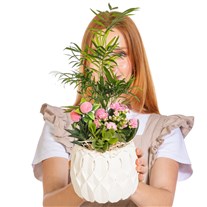 Botanical Charm Sukulent Aranjmanı