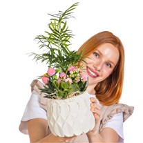 Botanical Charm Sukulent Aranjmanı