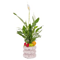 White Bloom Spatifilyum Aranjmanı