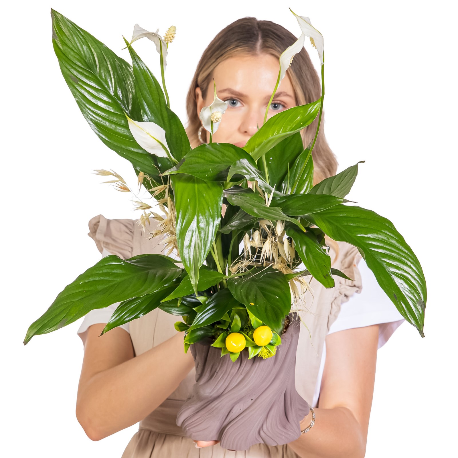 Lemon Peace Spatifilyum Aranjmanı