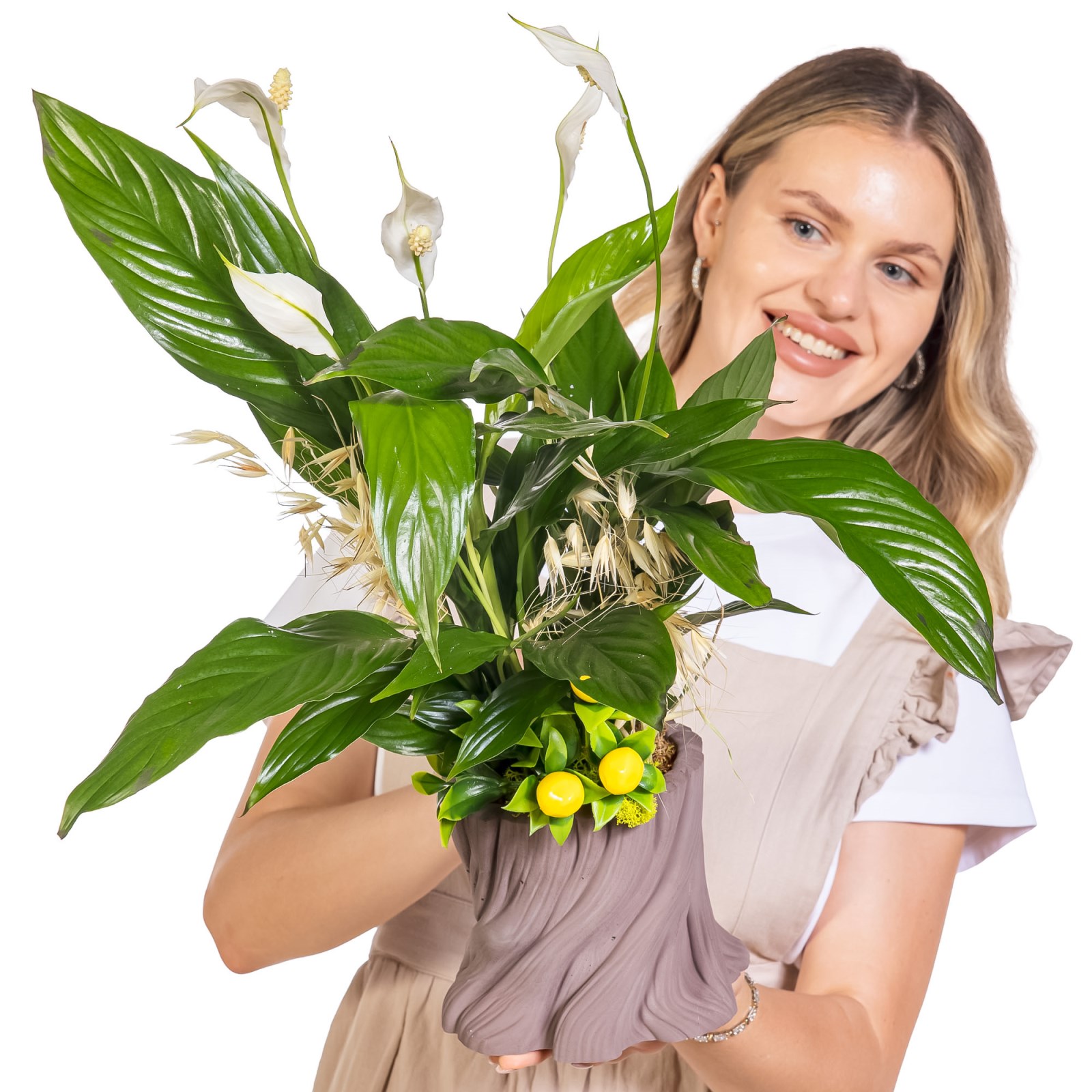 Lemon Peace Spatifilyum Aranjmanı