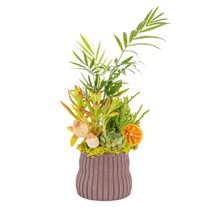 Botanical Mix Areka Aranjmanı