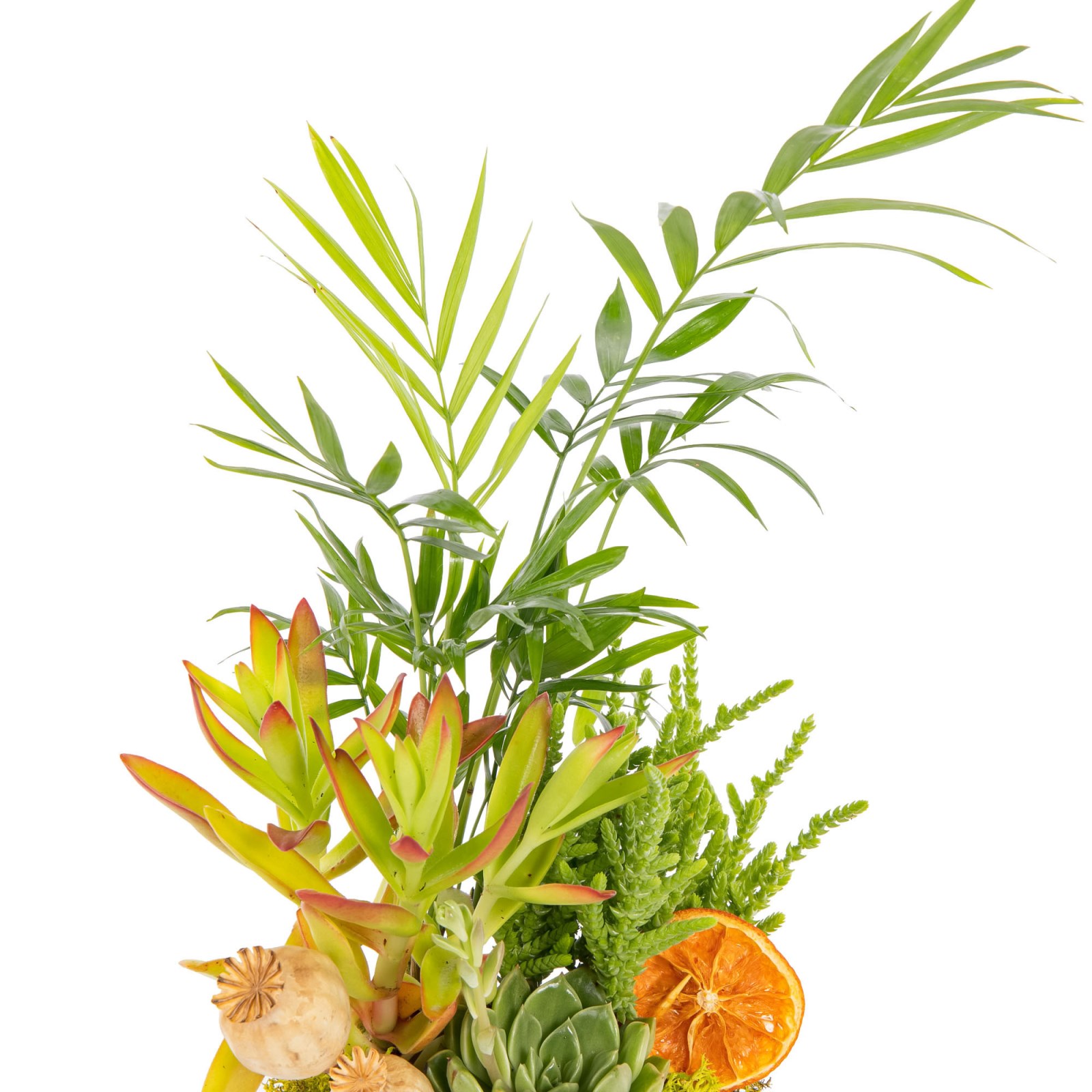 Botanical Mix Areka Aranjmanı
