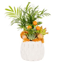 Citrus Jungle Areka Aranjmanı