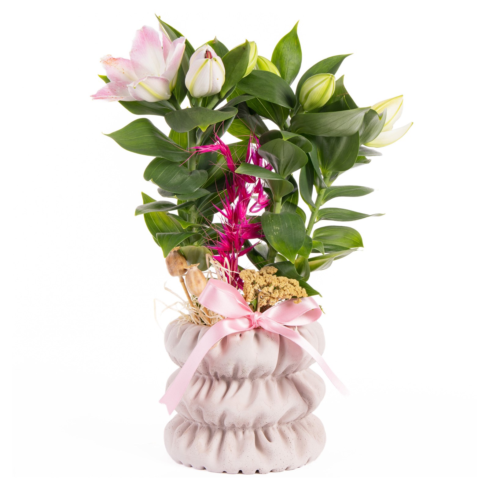 Pink Whisper Pembe Lilyumlar