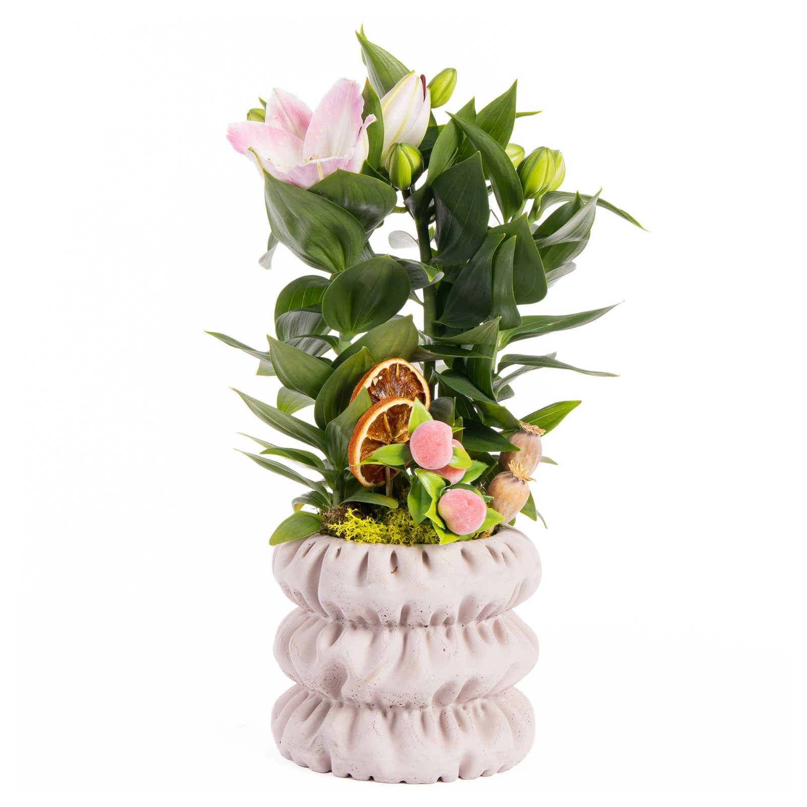Botanical Blush Pembe Lilyumlar