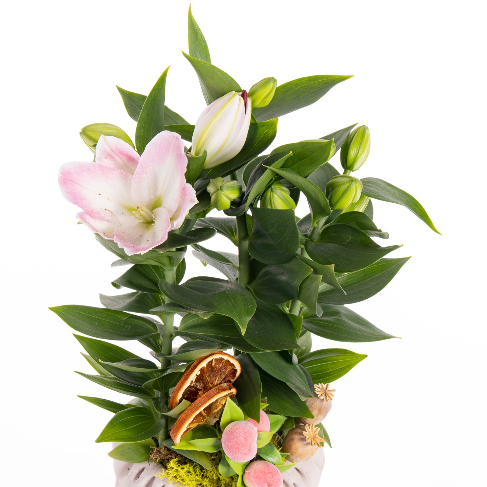 Botanical Blush Pembe Lilyumlar