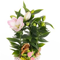 Botanical Blush Pembe Lilyumlar