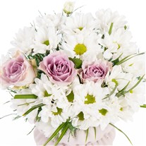 Lilac Snow Lila Güller ve Beyaz Biçmeler