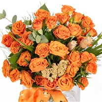 Orange Signature Turuncu Güller